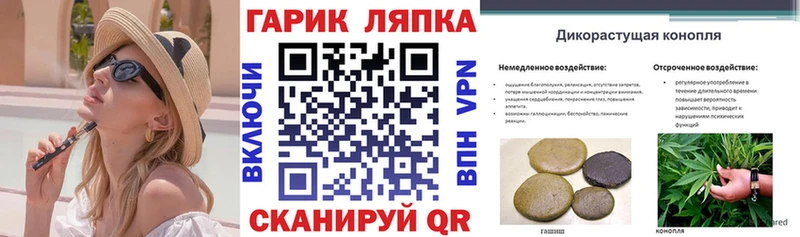 Купить где  Новозыбков  Гашиш Cannabis 