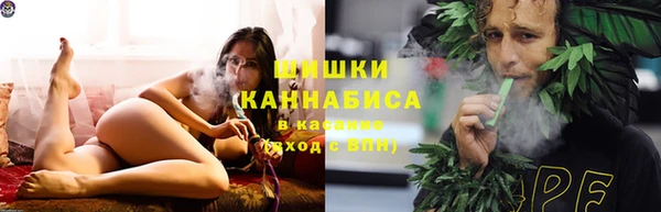 PSILOCYBIN Заволжье