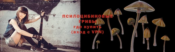 MDMA Заводоуковск