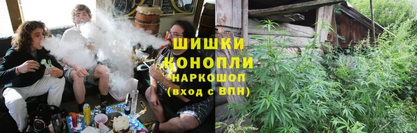PSILOCYBIN Заволжье