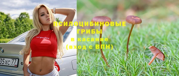MDMA Заводоуковск