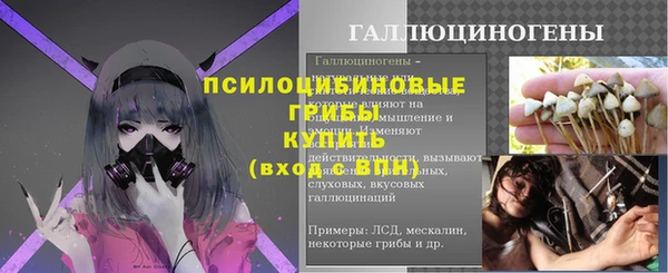 ПСИЛОЦИБИНОВЫЕ ГРИБЫ Заволжск