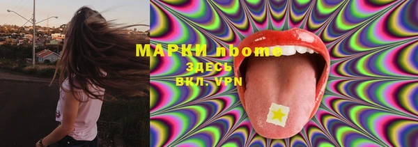 ПСИЛОЦИБИНОВЫЕ ГРИБЫ Заволжск