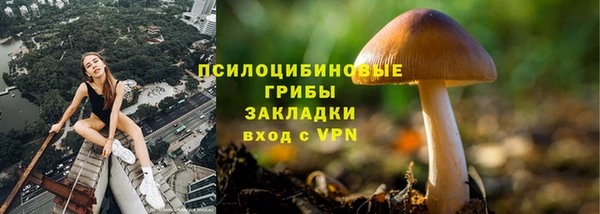 MDMA Заводоуковск