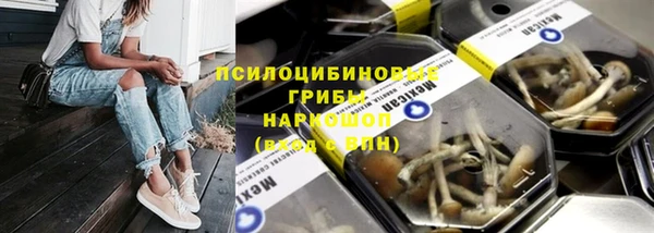 PSILOCYBIN Заволжье