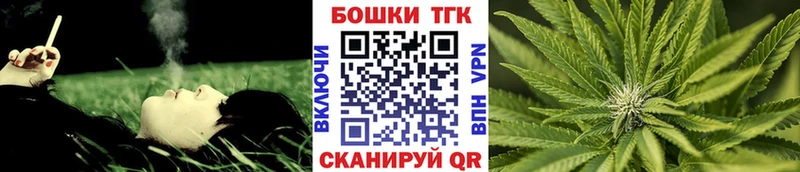 Купить закладки  Новозыбков  Бошки Шишки AK-47 